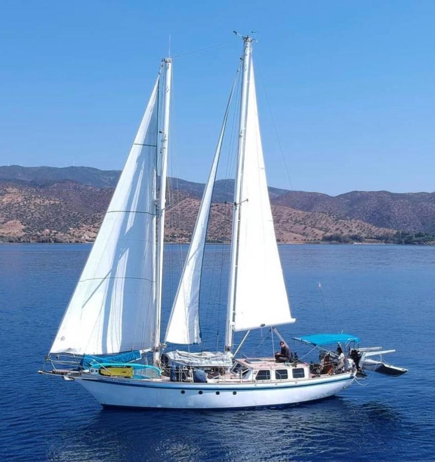 Fantastico Velero En Barcelona Hotell Sant Adria de Besos Eksteriør bilde